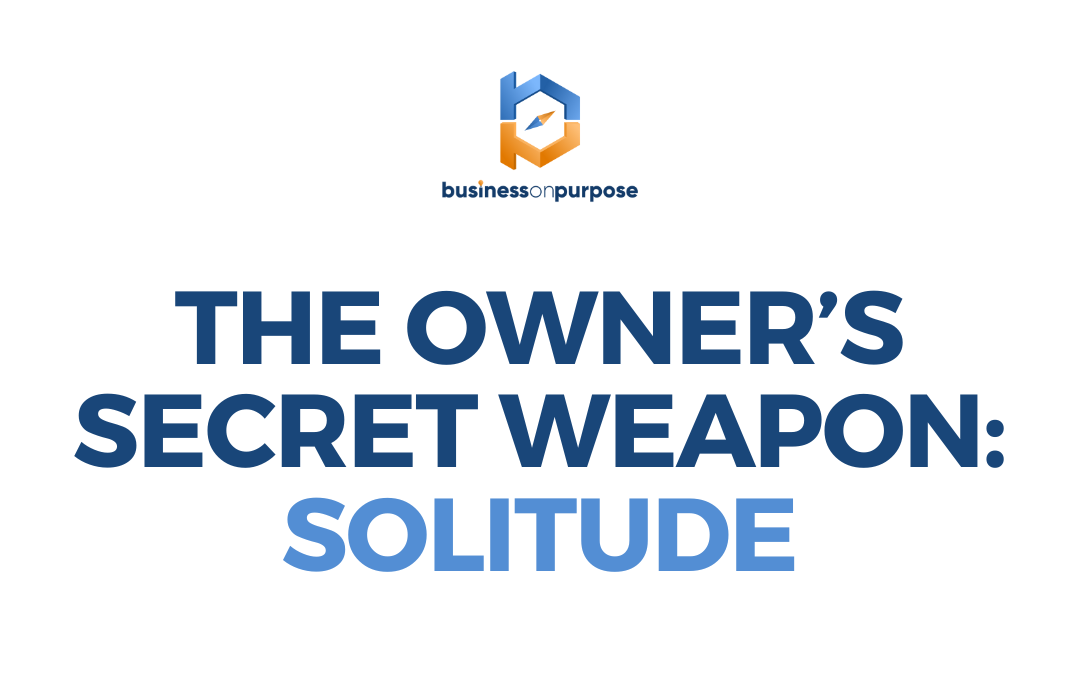 Cover-The Owner’s Secret Weapon Solitude (1080 × 675 px)