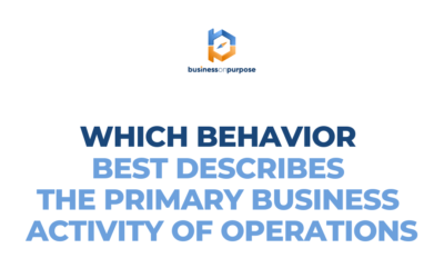 Which Behavior Best Describes The Primary Business Activity Of Operations