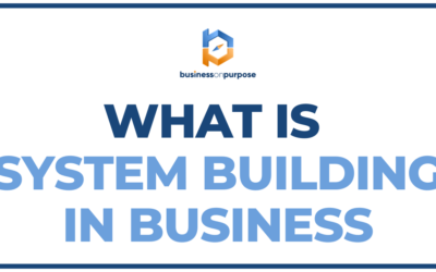 What Is System Building In Business