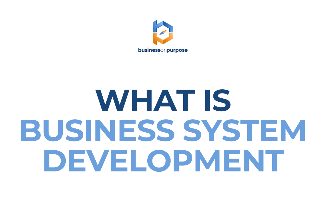 What Is Business System Development